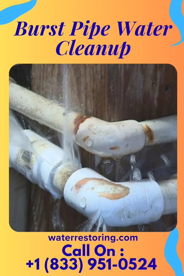 Burst Pipe Water Cleanup in Vernon Hills, IL